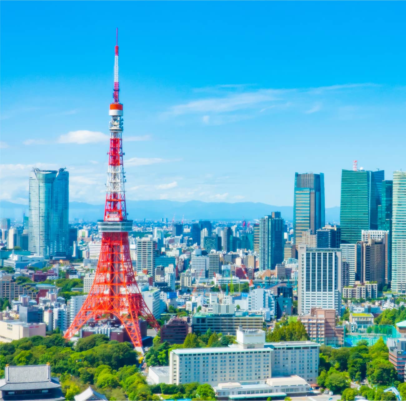 entry エントリー